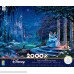 Thomas Kinkade Disney Cinderella Dancing in The Starlight Puzzle 2000 Pieces B07N1HJRN4